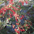 uk_d1119ele@mstdn.jp