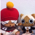 shintakapi@mstdn.jp