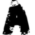 aokikenichi@mstdn.jp