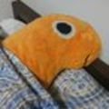 iguru0331@mstdn.jp