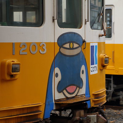 4690shirokuma@mstdn.jp